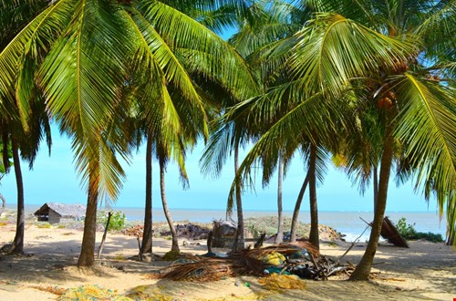 tuktukreissrilanka.nl